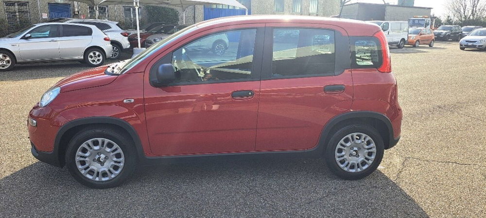 Fiat Panda nuova a Varese (16)