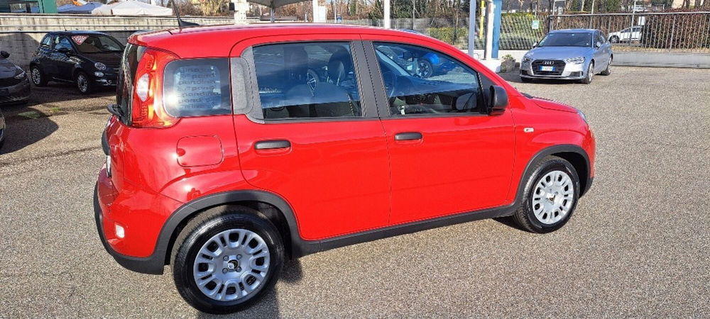 Fiat Panda nuova a Varese (2)