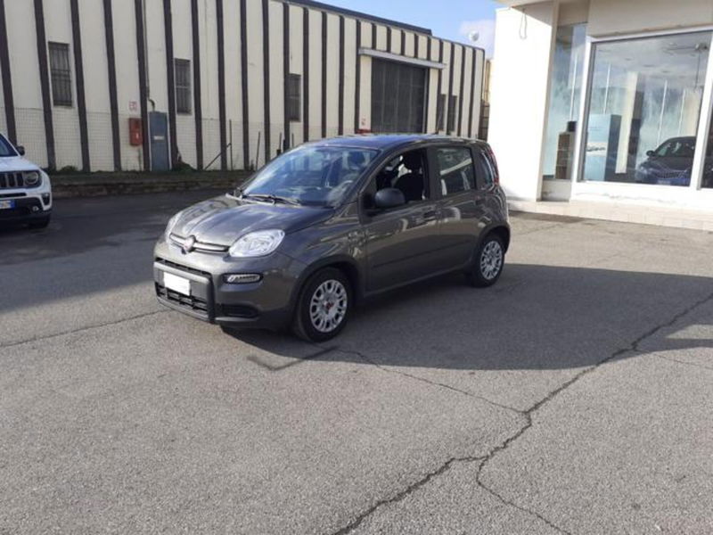 Fiat Panda 1.0 firefly hybrid s&amp;s 70cv 5p.ti del 2023 usata a Borgo San Lorenzo