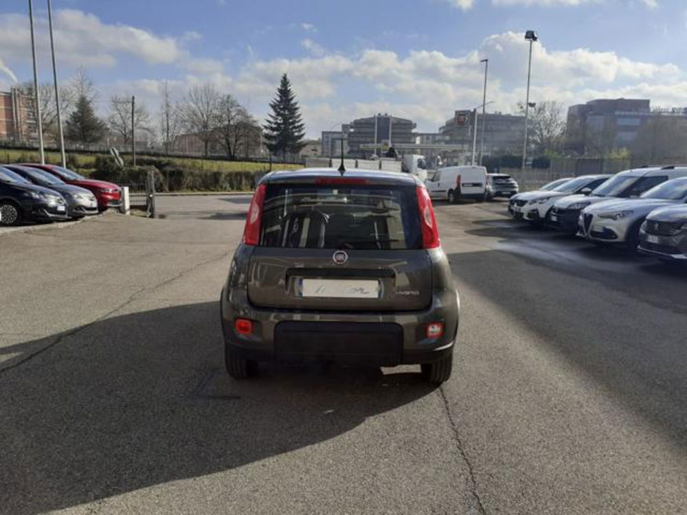 Fiat Panda usata a Firenze (5)