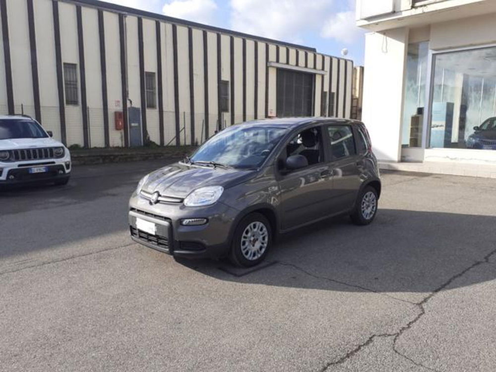 Fiat Panda usata a Firenze