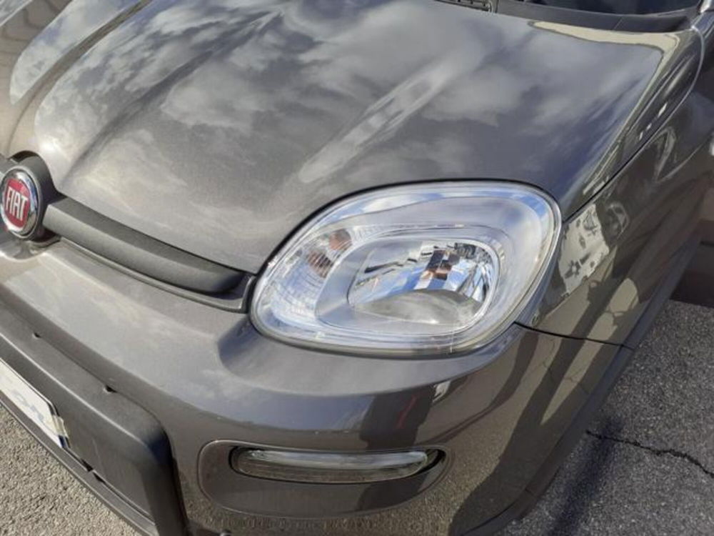 Fiat Panda usata a Firenze (14)