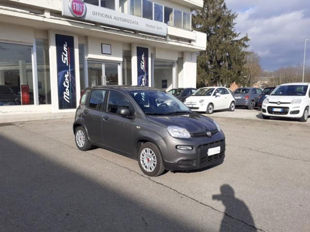 Fiat Panda usata a Firenze (3)