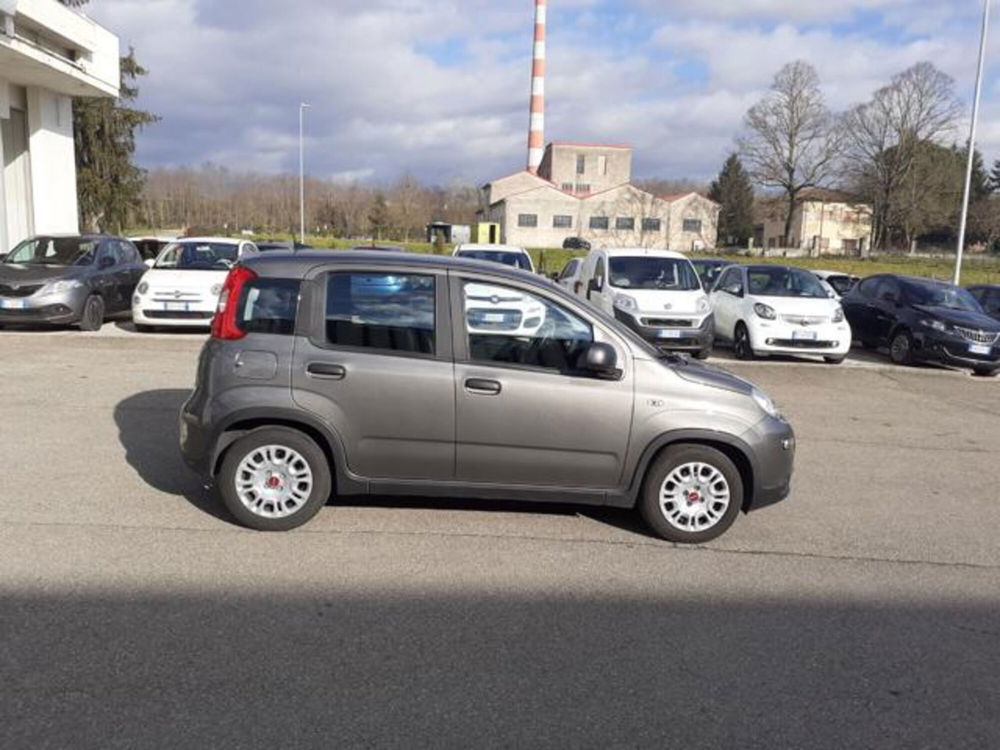 Fiat Panda usata a Firenze (4)