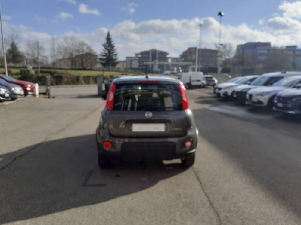 Fiat Panda usata a Firenze (5)