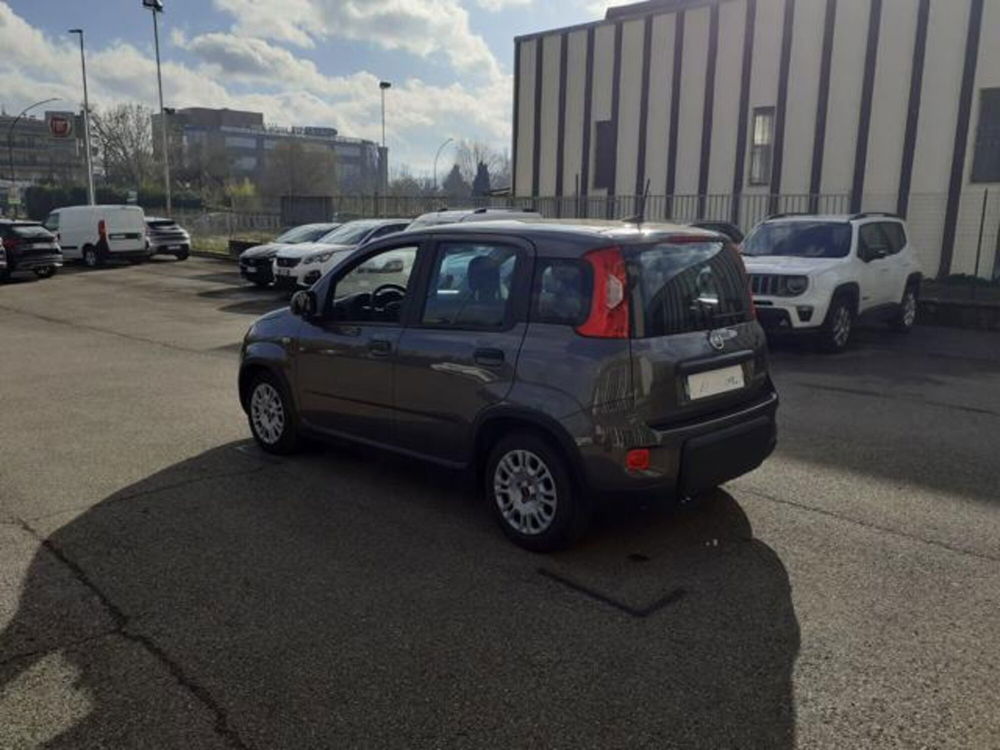 Fiat Panda usata a Firenze (7)