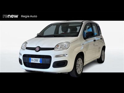 Fiat Panda 1.2 Pop  del 2017 usata a Viterbo