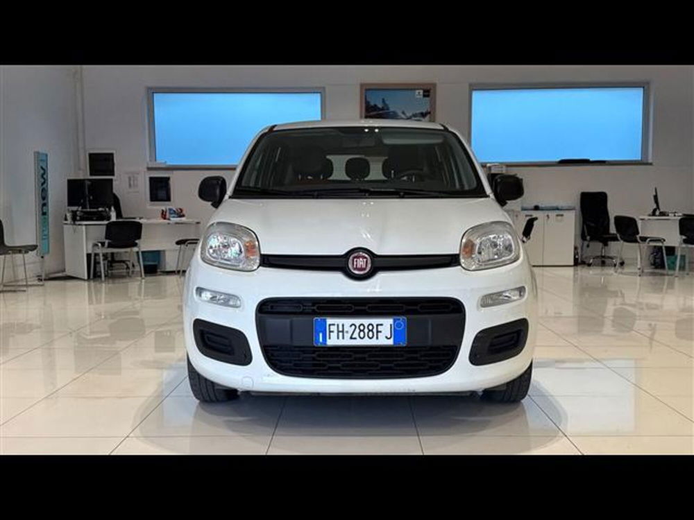 Fiat Panda usata a Viterbo (2)