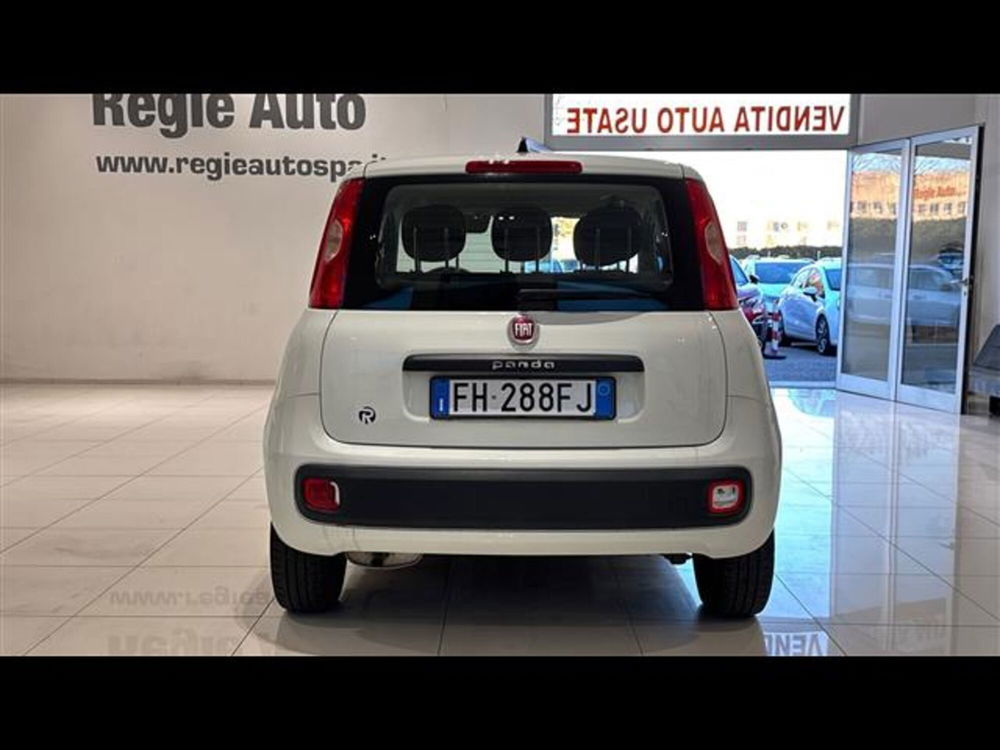 Fiat Panda usata a Viterbo (5)