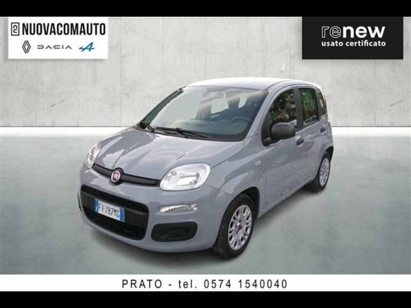 Fiat Panda 1.2 Easy  del 2019 usata a Sesto Fiorentino