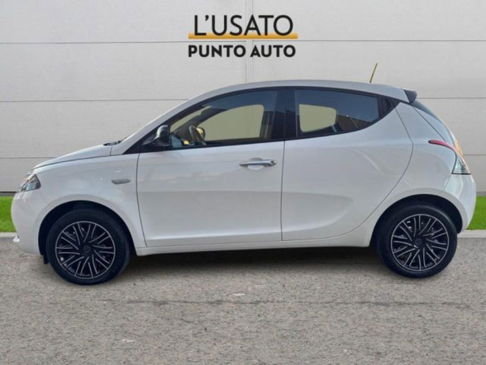 Lancia Ypsilon usata a Ancona (4)