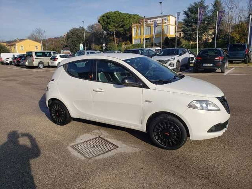 Lancia Ypsilon usata a Pesaro-Urbino (3)