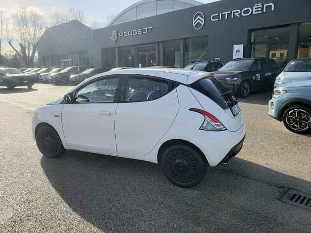 Lancia Ypsilon usata a Pesaro-Urbino (6)