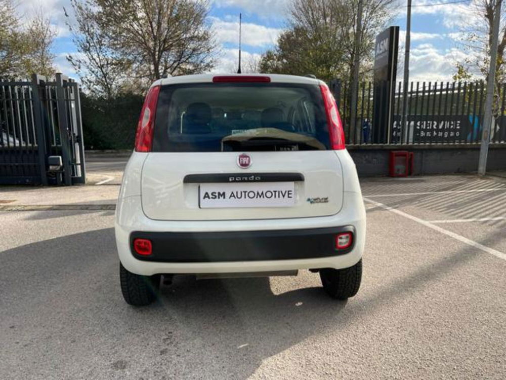 Fiat Panda usata a Napoli (5)