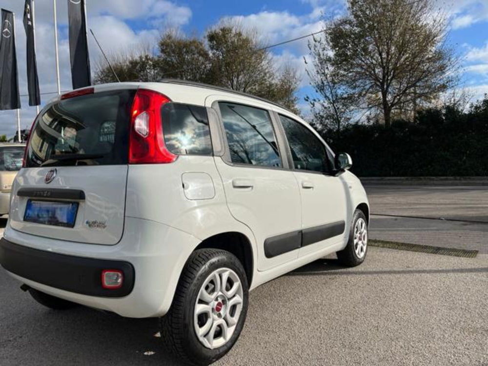 Fiat Panda usata a Napoli (6)