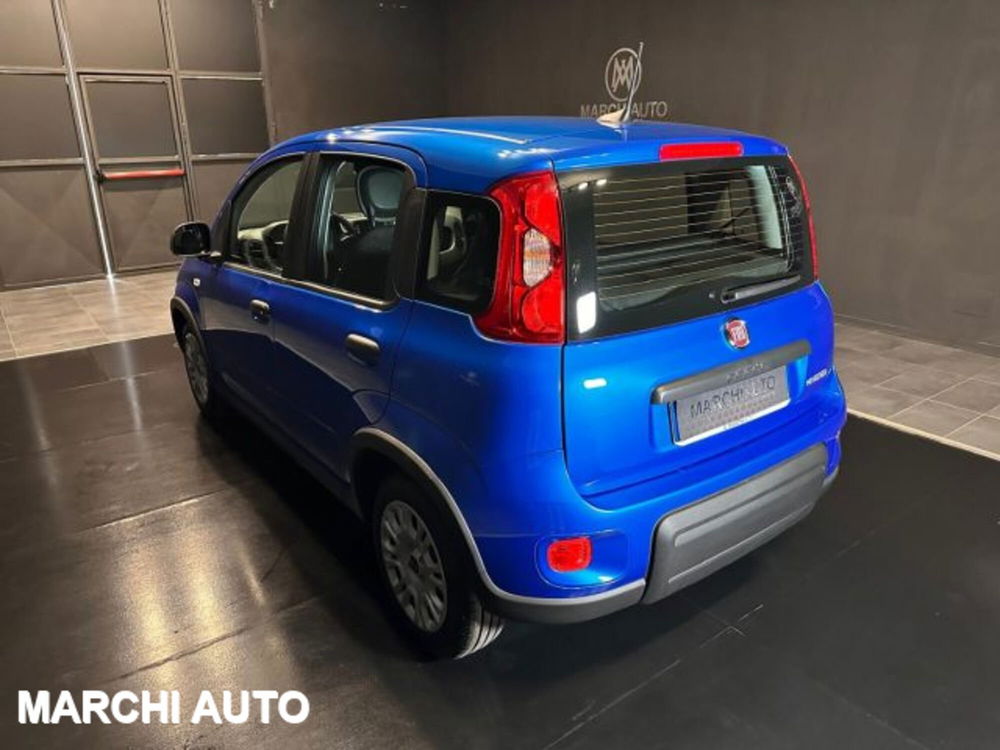 Fiat Panda usata a Perugia (7)