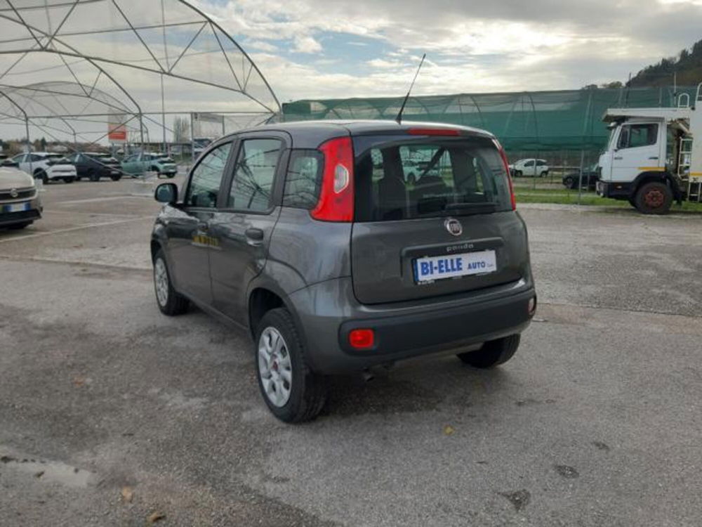 Fiat Panda usata a Padova (4)