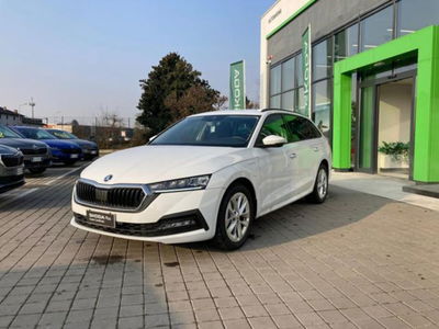 Skoda Octavia Station Wagon iV 1.4 TSI Plug-In Hybrid DSG Wagon Executive del 2023 usata a Paruzzaro