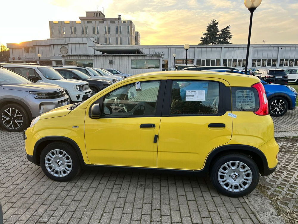 Fiat Panda Cross nuova a Milano (4)