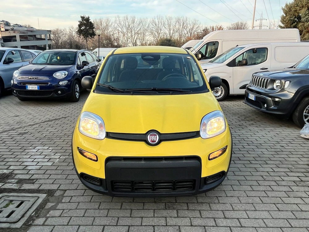 Fiat Panda Cross nuova a Milano (2)