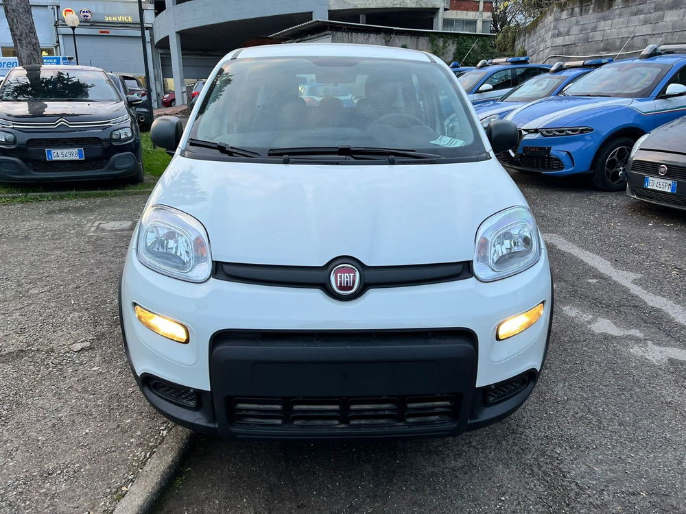 Fiat Panda Cross nuova a Milano (2)