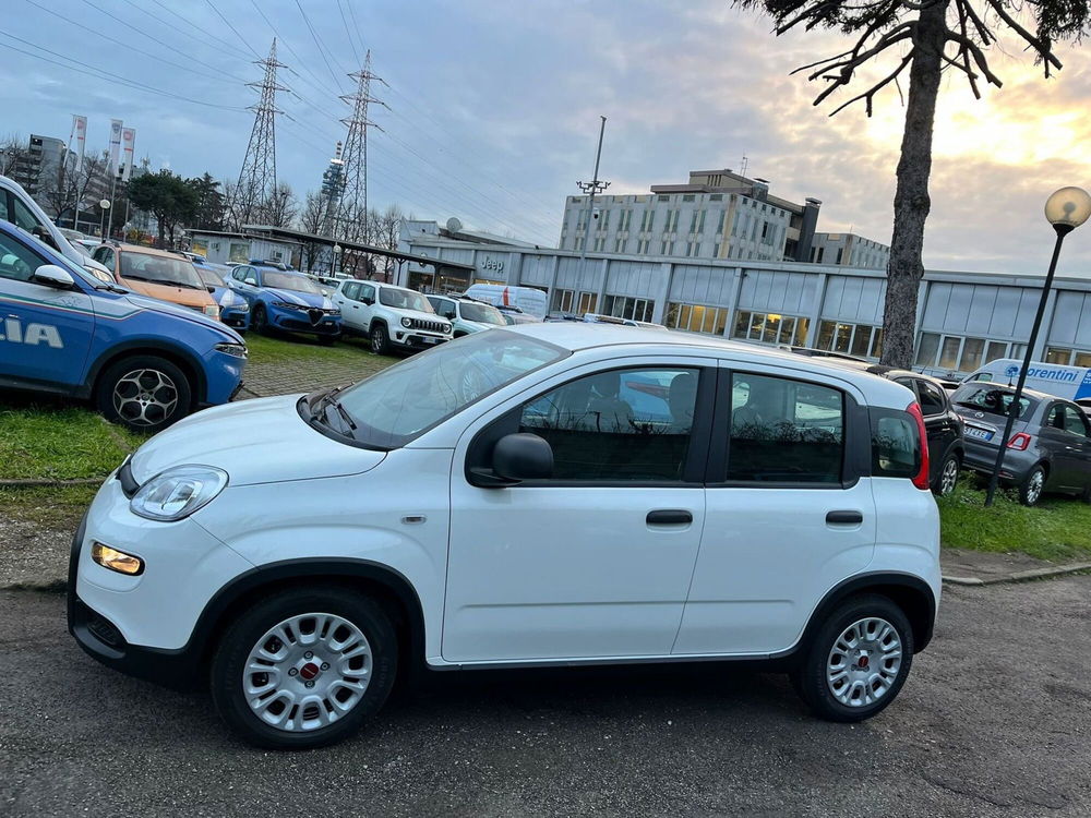 Fiat Panda Cross nuova a Milano (4)