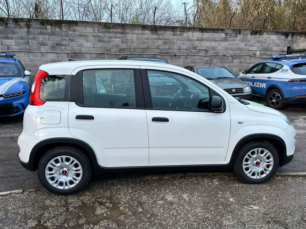 Fiat Panda Cross nuova a Milano (5)