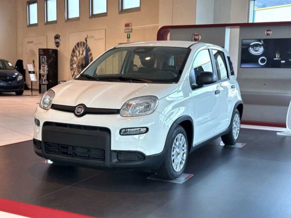 Fiat Panda nuova a Sondrio