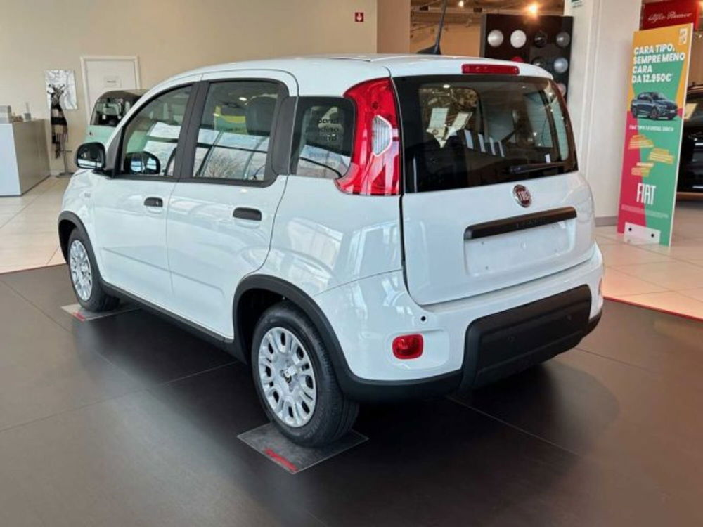 Fiat Panda nuova a Sondrio (3)