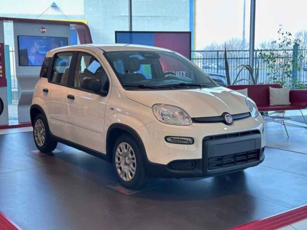 Fiat Panda nuova a Sondrio (7)