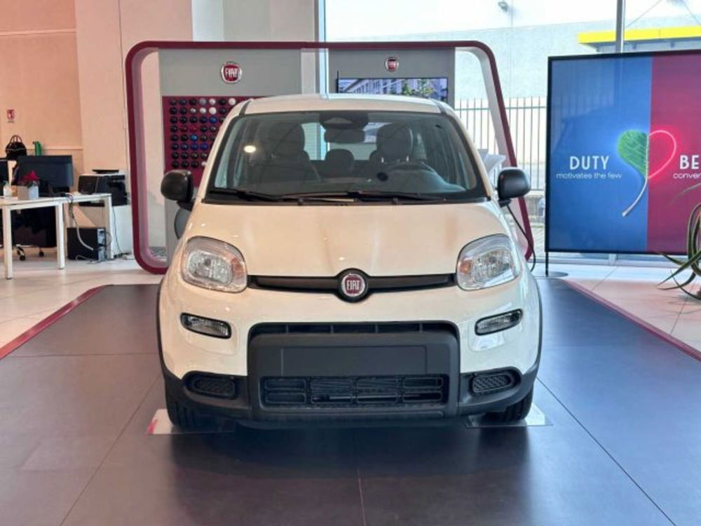 Fiat Panda nuova a Sondrio (8)