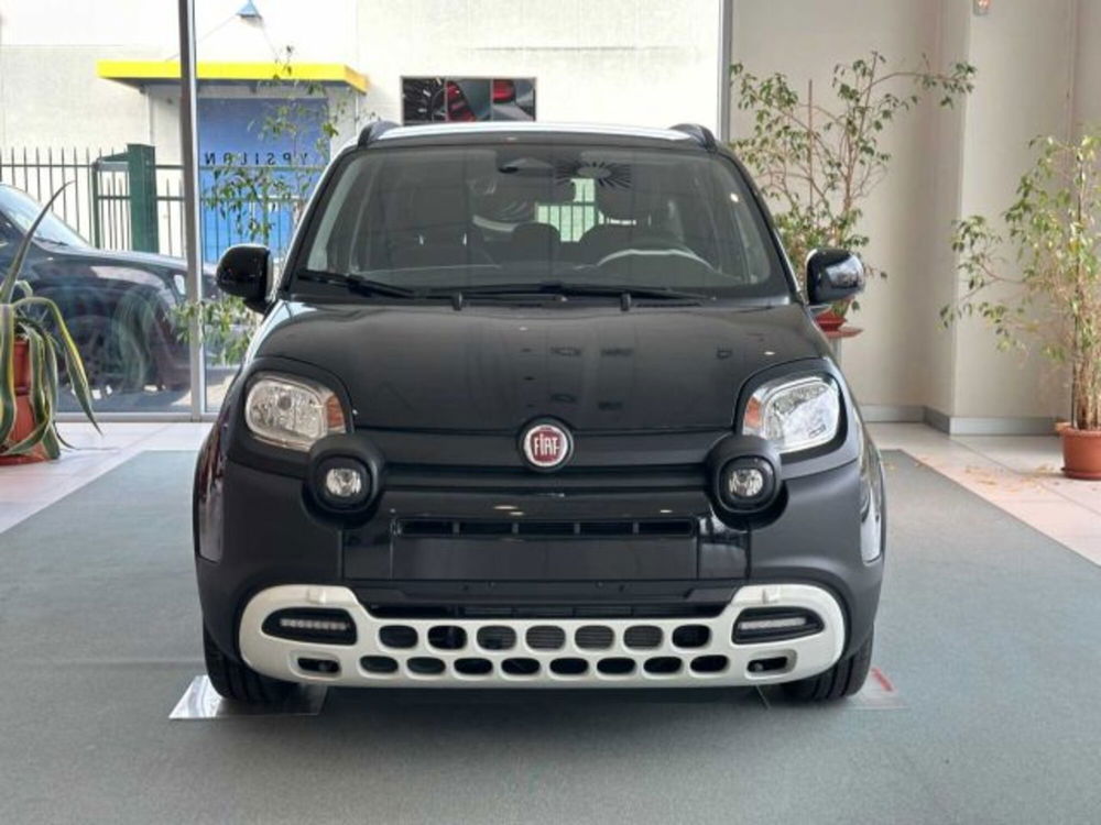 Fiat Panda nuova a Sondrio (8)