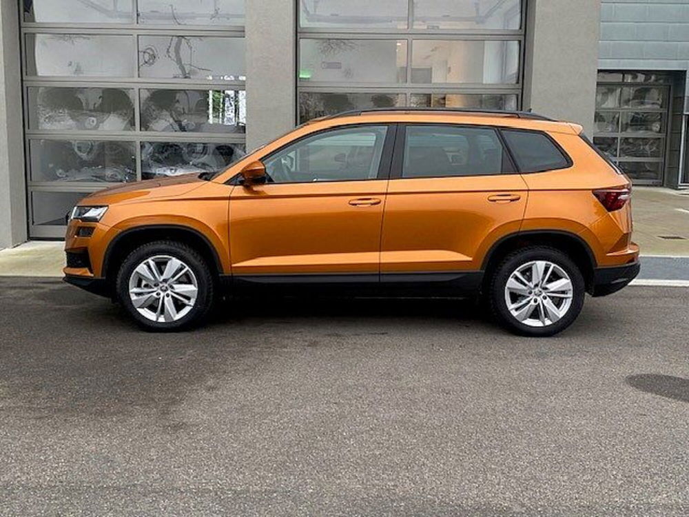 Skoda Karoq usata a Verona (3)