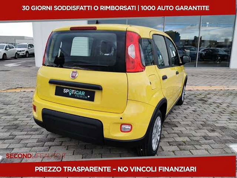 Fiat Panda nuova a Chieti (16)