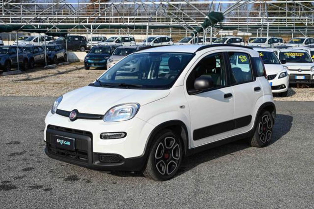 Fiat Panda usata a Torino