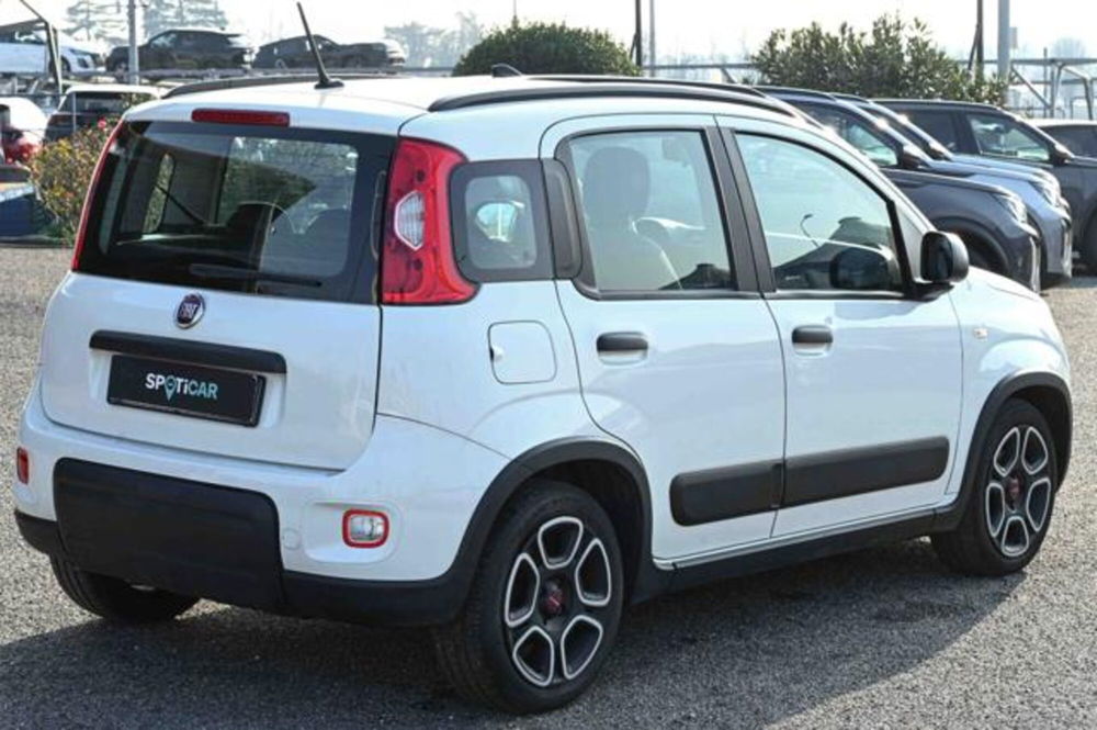 Fiat Panda usata a Torino (5)