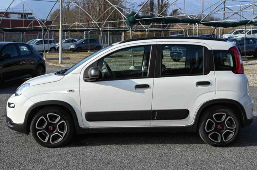 Fiat Panda usata a Torino (8)