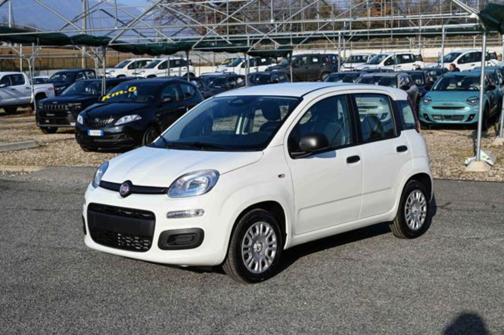 Fiat Panda nuova a Torino