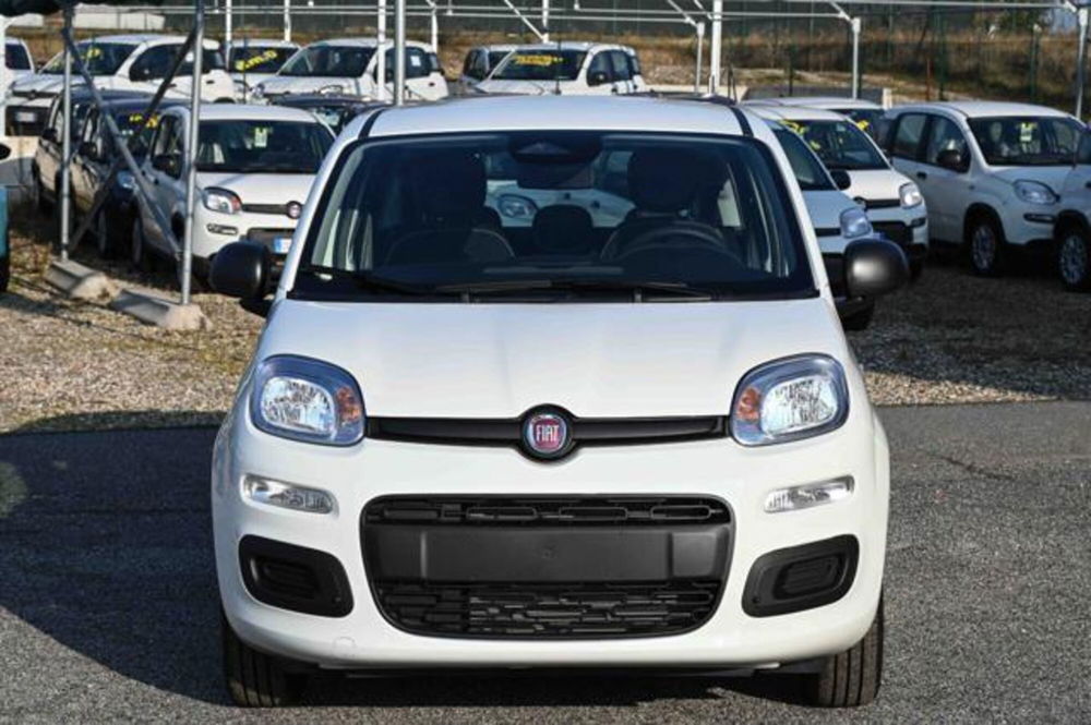 Fiat Panda nuova a Torino (2)