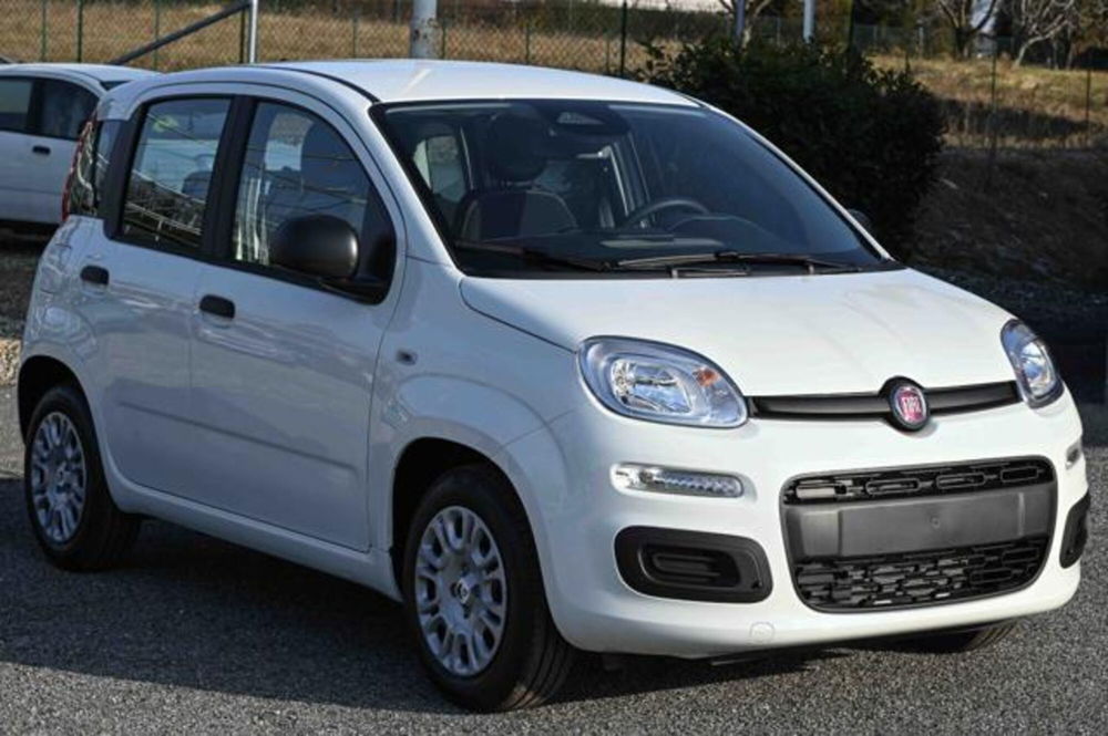 Fiat Panda nuova a Torino (3)