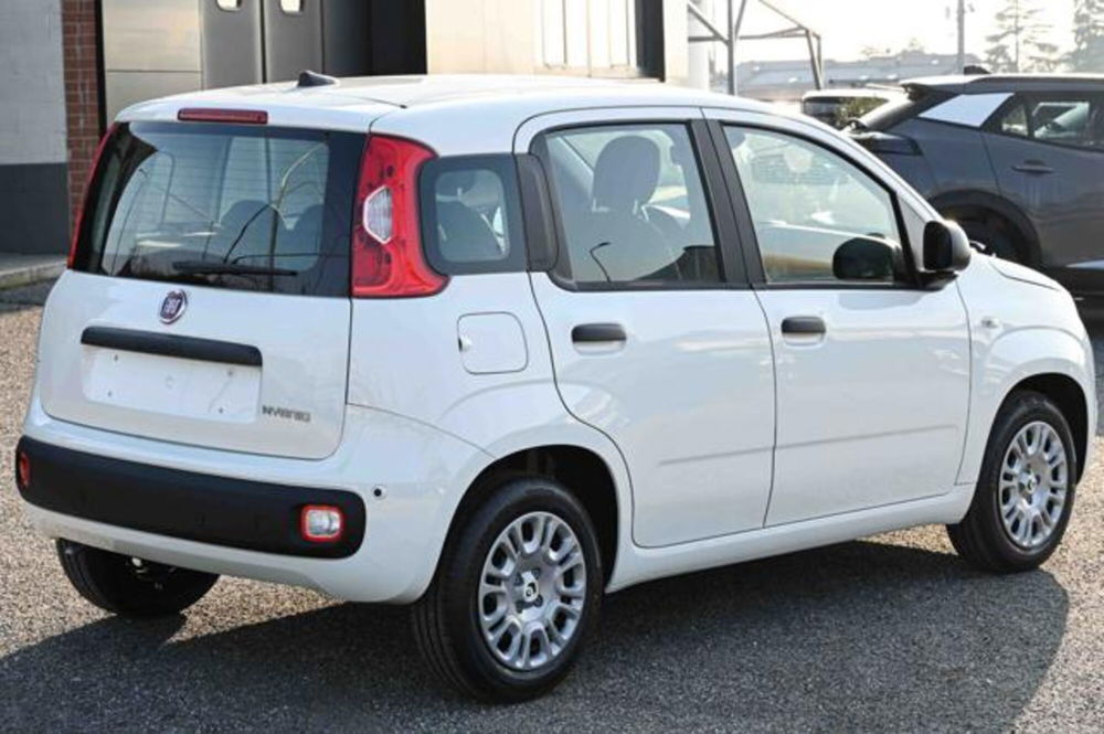 Fiat Panda nuova a Torino (5)