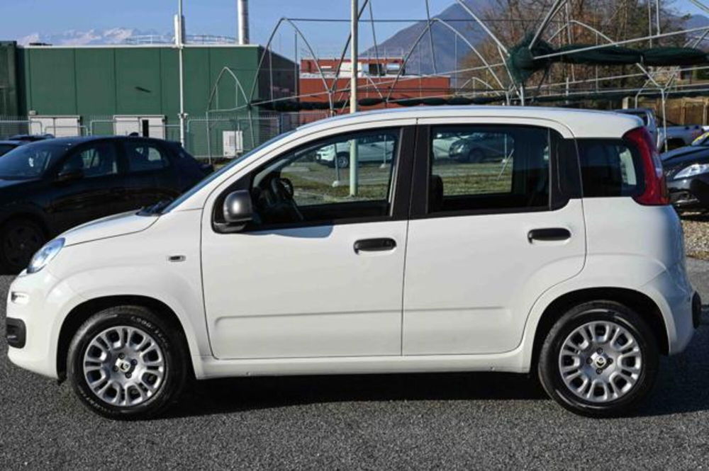 Fiat Panda nuova a Torino (8)