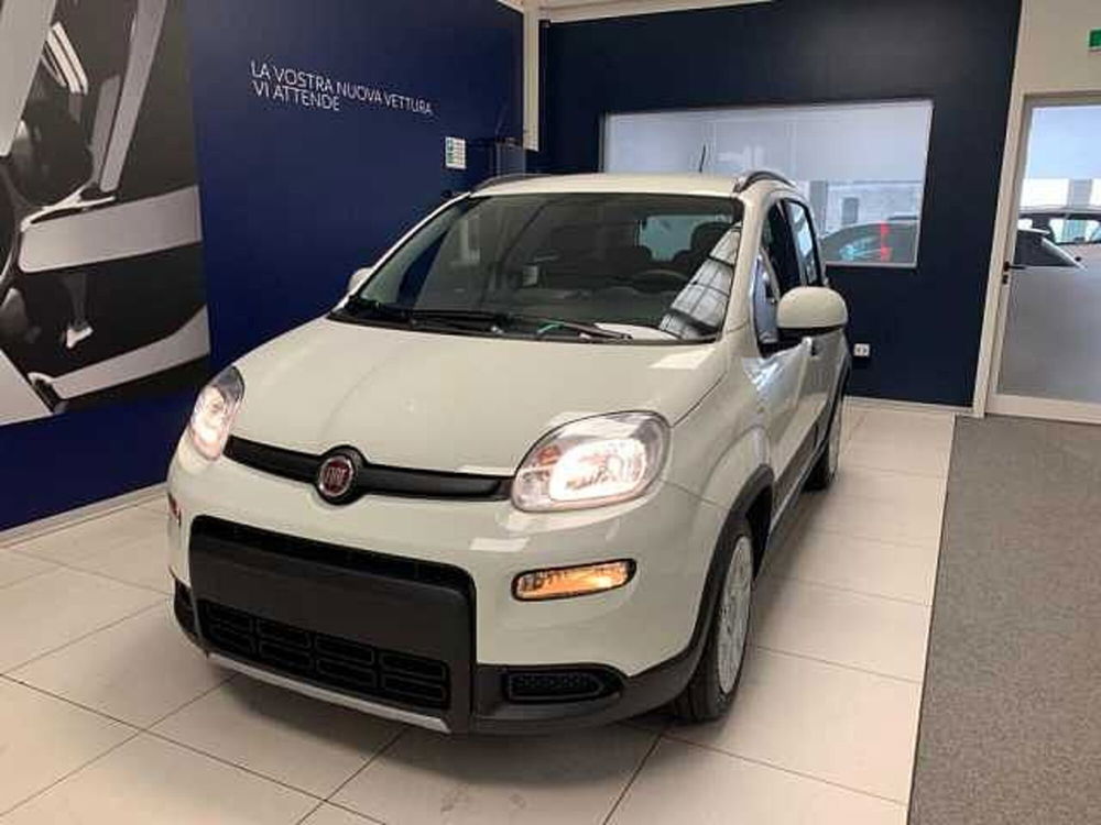 Fiat Panda usata a Brescia