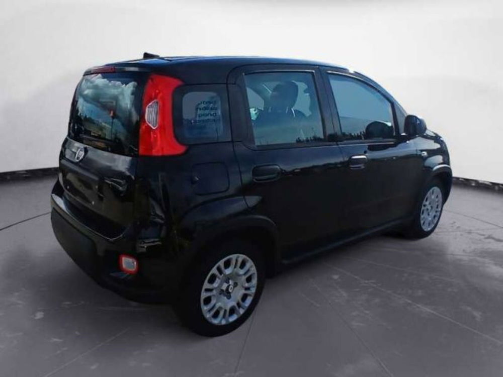 Fiat Panda nuova a Lecce (16)