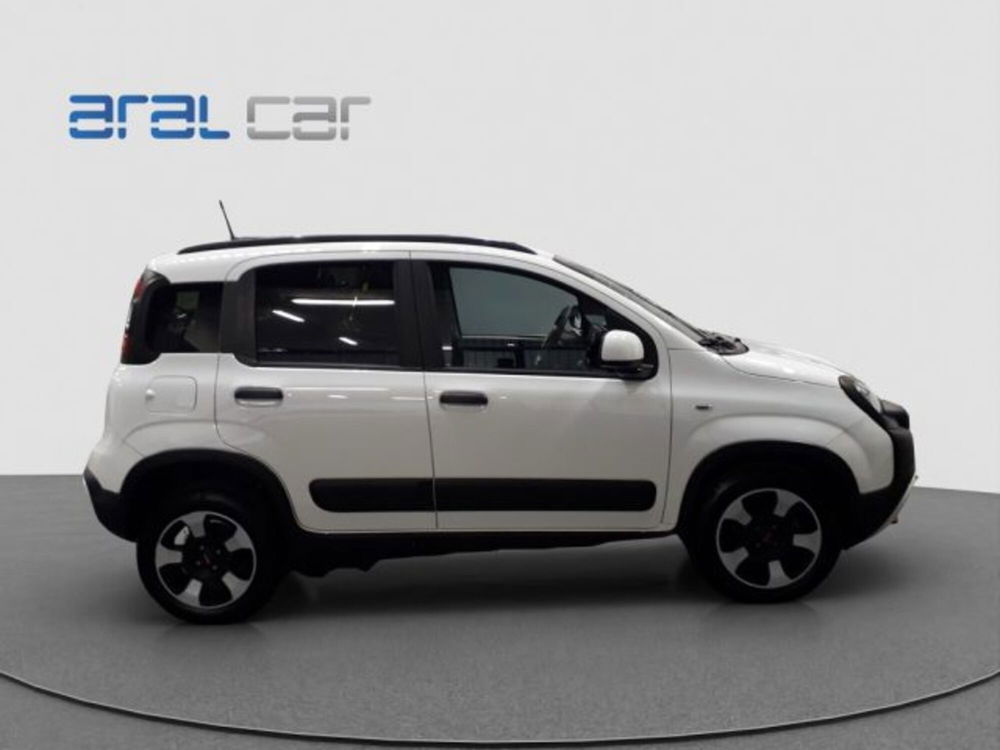 Fiat Panda Cross usata a Torino (7)