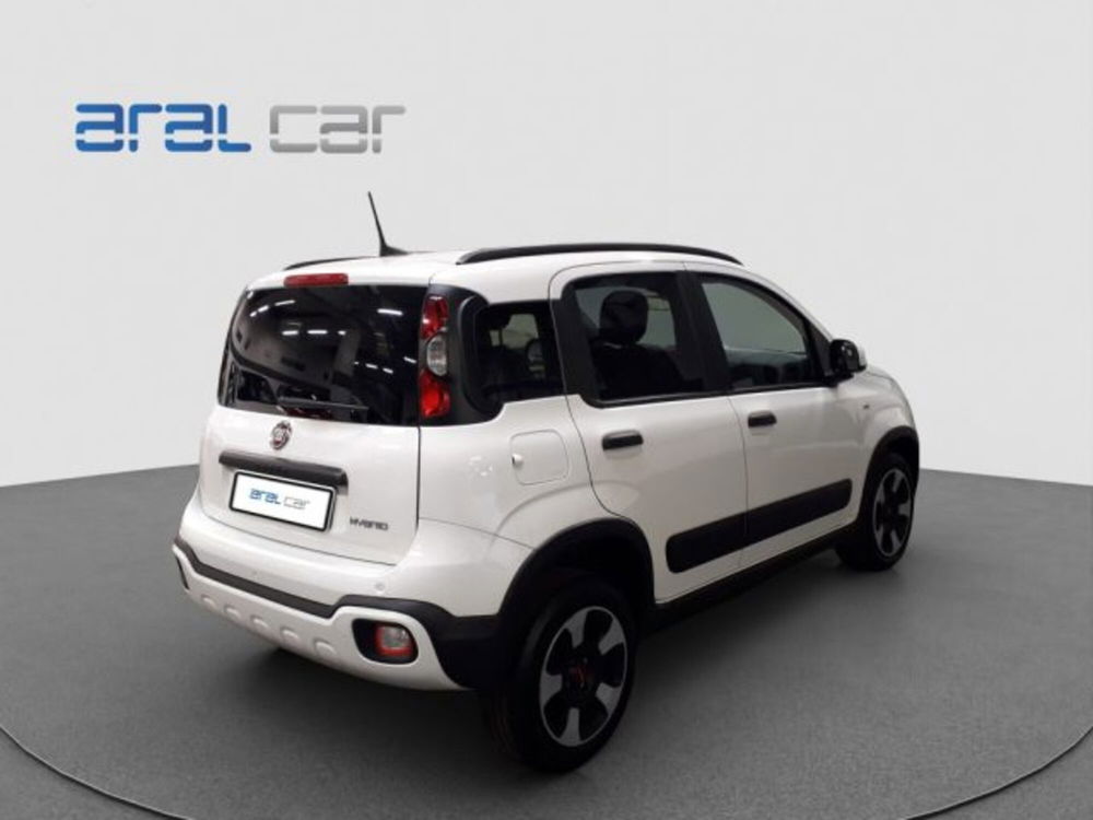 Fiat Panda Cross usata a Torino (6)