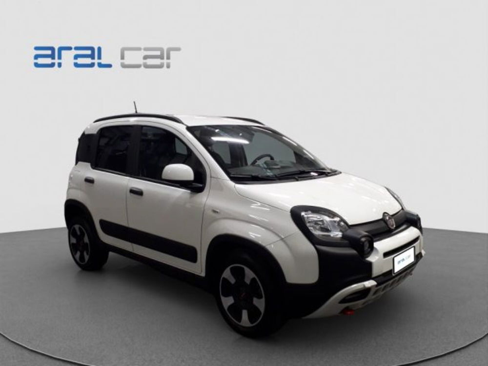 Fiat Panda Cross usata a Torino (8)