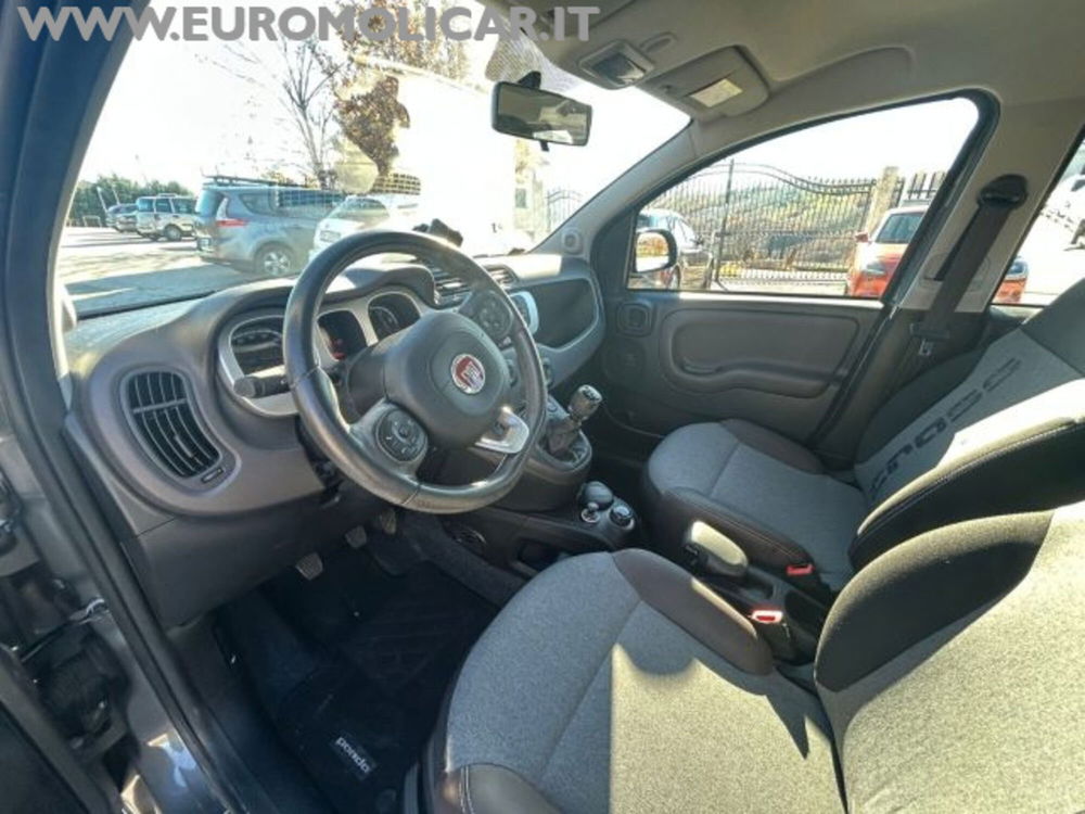 Fiat Panda Cross usata a Campobasso (10)