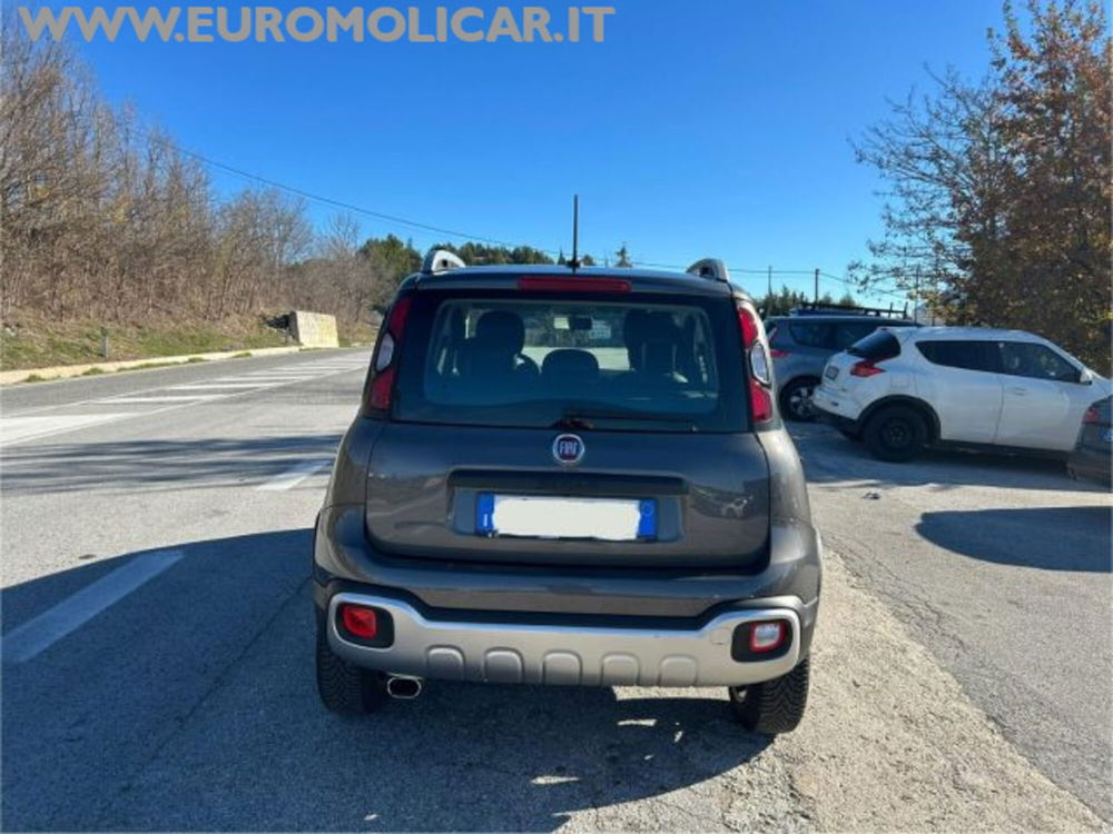 Fiat Panda Cross usata a Campobasso (5)