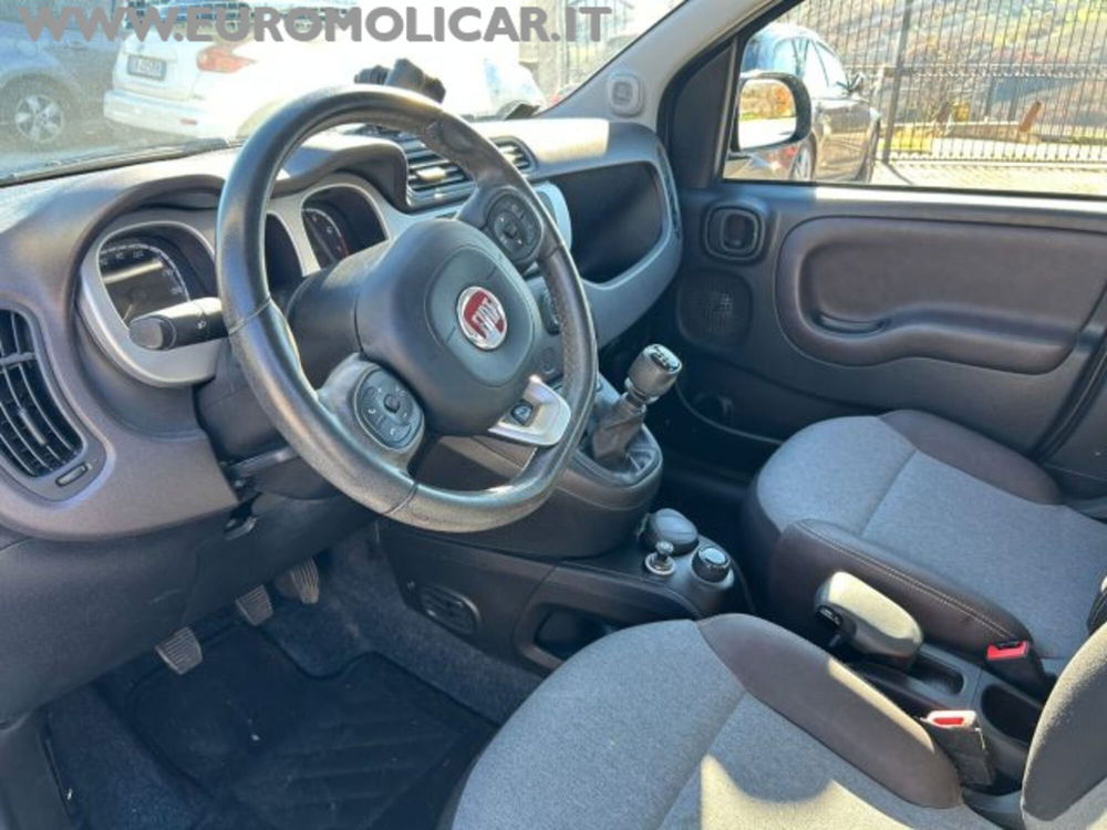 Fiat Panda Cross usata a Campobasso (8)